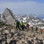 Alpenpflanzen